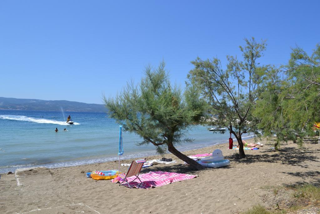 Apartments Kadenca Omiš Exteriör bild